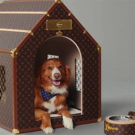 nova vitrine louis vuitton com cachorros|Louis Vuitton lança coleção dedicada à cultura canina.